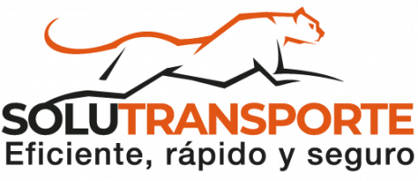 logo-solutransporte-org