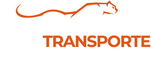 logo-solutransporte-blanco